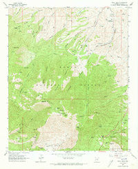 Pinal Peak Arizona Historical topographic map, 1:24000 scale, 7.5 X 7.5 Minute, Year 1964