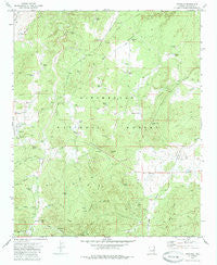 Pinedale Arizona Historical topographic map, 1:24000 scale, 7.5 X 7.5 Minute, Year 1970