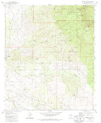 Rincon Peak Arizona Historical topographic map, 1:24000 scale, 7.5 X 7.5 Minute, Year 1981