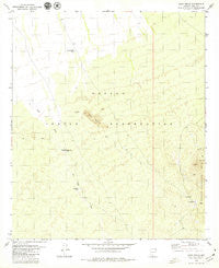 Sand Wells Arizona Historical topographic map, 1:24000 scale, 7.5 X 7.5 Minute, Year 1979