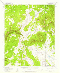 Sonsela Buttes Arizona Historical topographic map, 1:62500 scale, 15 X 15 Minute, Year 1955