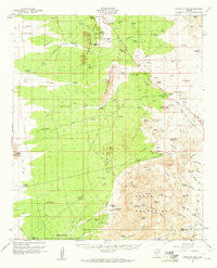 Tortolita Mts Arizona Historical topographic map, 1:62500 scale, 15 X 15 Minute, Year 1959