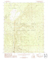 Warm Springs Canyon Arizona Historical topographic map, 1:24000 scale, 7.5 X 7.5 Minute, Year 1988