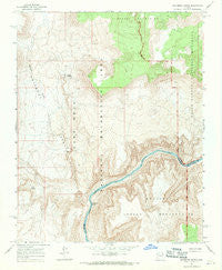 Whitmore Rapids Arizona Historical topographic map, 1:24000 scale, 7.5 X 7.5 Minute, Year 1967