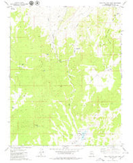 Wolf Hole Mtn. East Arizona Historical topographic map, 1:24000 scale, 7.5 X 7.5 Minute, Year 1979