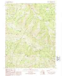 Bartlett Springs California Historical topographic map, 1:24000 scale, 7.5 X 7.5 Minute, Year 1989