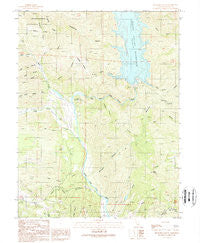 Benmore Canyon California Historical topographic map, 1:24000 scale, 7.5 X 7.5 Minute, Year 1989