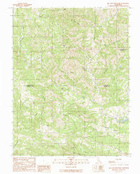 Big Foot Mountain California Historical topographic map, 1:24000 scale, 7.5 X 7.5 Minute, Year 1991