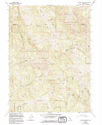 Bluenose Ridge California Historical topographic map, 1:24000 scale, 7.5 X 7.5 Minute, Year 1967