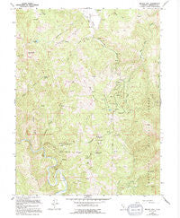 Brushy Mtn California Historical topographic map, 1:24000 scale, 7.5 X 7.5 Minute, Year 1966