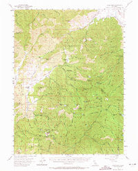 China Mountain California Historical topographic map, 1:62500 scale, 15 X 15 Minute, Year 1955