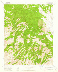 Cholame Hills California Historical topographic map, 1:24000 scale, 7.5 X 7.5 Minute, Year 1961