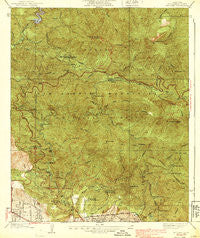Mt. Lowe California Historical topographic map, 1:24000 scale, 7.5 X 7.5 Minute, Year 1939