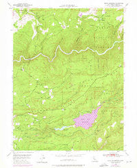North Bloomfield California Historical topographic map, 1:24000 scale, 7.5 X 7.5 Minute, Year 1949