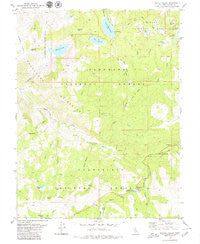 Pacific Valley California Historical topographic map, 1:24000 scale, 7.5 X 7.5 Minute, Year 1979