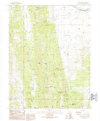 Salt Canyon California Historical topographic map, 1:24000 scale, 7.5 X 7.5 Minute, Year 1989