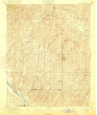 San Miguel California Historical topographic map, 1:62500 scale, 15 X 15 Minute, Year 1919