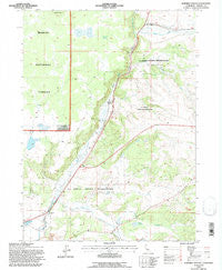 Surprise Station California Historical topographic map, 1:24000 scale, 7.5 X 7.5 Minute, Year 1993