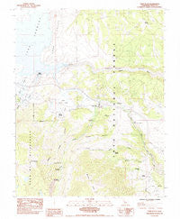 Toms Place California Historical topographic map, 1:24000 scale, 7.5 X 7.5 Minute, Year 1984