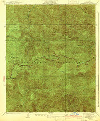 Waterman Mtn California Historical topographic map, 1:24000 scale, 7.5 X 7.5 Minute, Year 1941