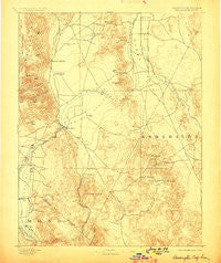Wellington Nevada Historical topographic map, 1:125000 scale, 30 X 30 Minute, Year 1893