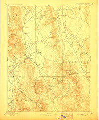 Wellington Nevada Historical topographic map, 1:125000 scale, 30 X 30 Minute, Year 1893