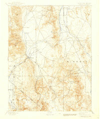 Wellington Nevada Historical topographic map, 1:125000 scale, 30 X 30 Minute, Year 1893