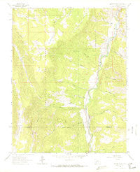 Alpine Plateau Colorado Historical topographic map, 1:24000 scale, 7.5 X 7.5 Minute, Year 1963