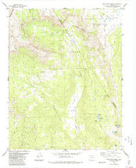 Archuleta Creek Colorado Historical topographic map, 1:24000 scale, 7.5 X 7.5 Minute, Year 1984