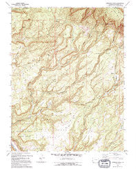 Atkinson Creek Colorado Historical topographic map, 1:24000 scale, 7.5 X 7.5 Minute, Year 1994