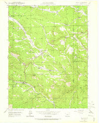 Bailey Colorado Historical topographic map, 1:24000 scale, 7.5 X 7.5 Minute, Year 1945