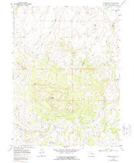Bakers Peak Colorado Historical topographic map, 1:24000 scale, 7.5 X 7.5 Minute, Year 1969