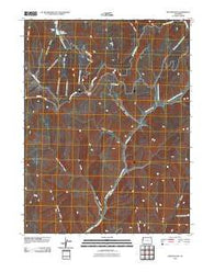 Baxter Pass Colorado Historical topographic map, 1:24000 scale, 7.5 X 7.5 Minute, Year 2010