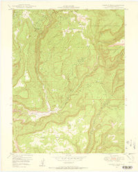 Calamity Mesa Colorado Historical topographic map, 1:24000 scale, 7.5 X 7.5 Minute, Year 1949