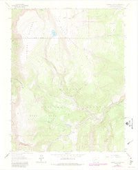Cannibal Plateau Colorado Historical topographic map, 1:24000 scale, 7.5 X 7.5 Minute, Year 1963