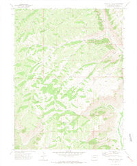 Circle Dot Gulch Colorado Historical topographic map, 1:24000 scale, 7.5 X 7.5 Minute, Year 1971
