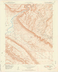 Davis Mesa Colorado Historical topographic map, 1:24000 scale, 7.5 X 7.5 Minute, Year 1949