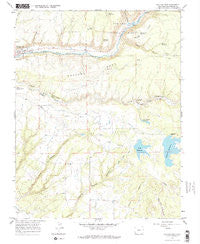 Dolores East Colorado Historical topographic map, 1:24000 scale, 7.5 X 7.5 Minute, Year 1965