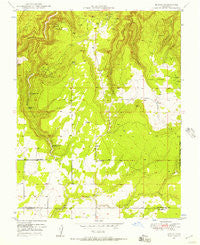 Egnar Colorado Historical topographic map, 1:24000 scale, 7.5 X 7.5 Minute, Year 1949