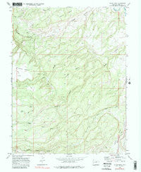 Island Mesa Colorado Historical topographic map, 1:24000 scale, 7.5 X 7.5 Minute, Year 1969