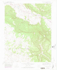 Naturita NW Colorado Historical topographic map, 1:24000 scale, 7.5 X 7.5 Minute, Year 1948