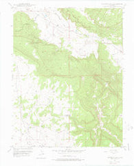 Naturita NW Colorado Historical topographic map, 1:24000 scale, 7.5 X 7.5 Minute, Year 1948