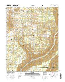 Nipple Mountain Colorado Current topographic map, 1:24000 scale, 7.5 X 7.5 Minute, Year 2016