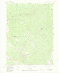 Radial Mountain Colorado Historical topographic map, 1:24000 scale, 7.5 X 7.5 Minute, Year 1956