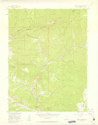 Radial Mountain Colorado Historical topographic map, 1:24000 scale, 7.5 X 7.5 Minute, Year 1956