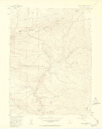 Radial Mountain Colorado Historical topographic map, 1:24000 scale, 7.5 X 7.5 Minute, Year 1956
