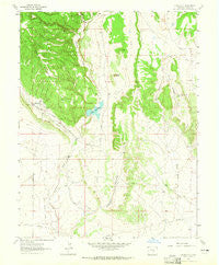 Stone City Colorado Historical topographic map, 1:24000 scale, 7.5 X 7.5 Minute, Year 1963