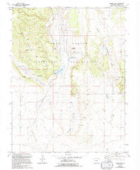 Stone City Colorado Historical topographic map, 1:24000 scale, 7.5 X 7.5 Minute, Year 1963