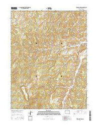 Texas Mountain Colorado Current topographic map, 1:24000 scale, 7.5 X 7.5 Minute, Year 2016