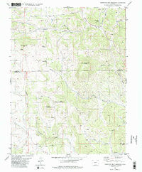 Thirtyone Mile Mountain Colorado Historical topographic map, 1:24000 scale, 7.5 X 7.5 Minute, Year 1983